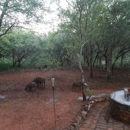 Little Bush Baby Villa Marloth Park Exterior photo