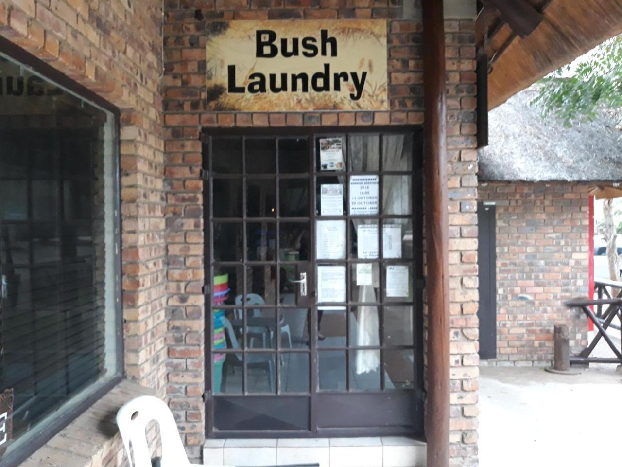 Little Bush Baby * Marloth Park