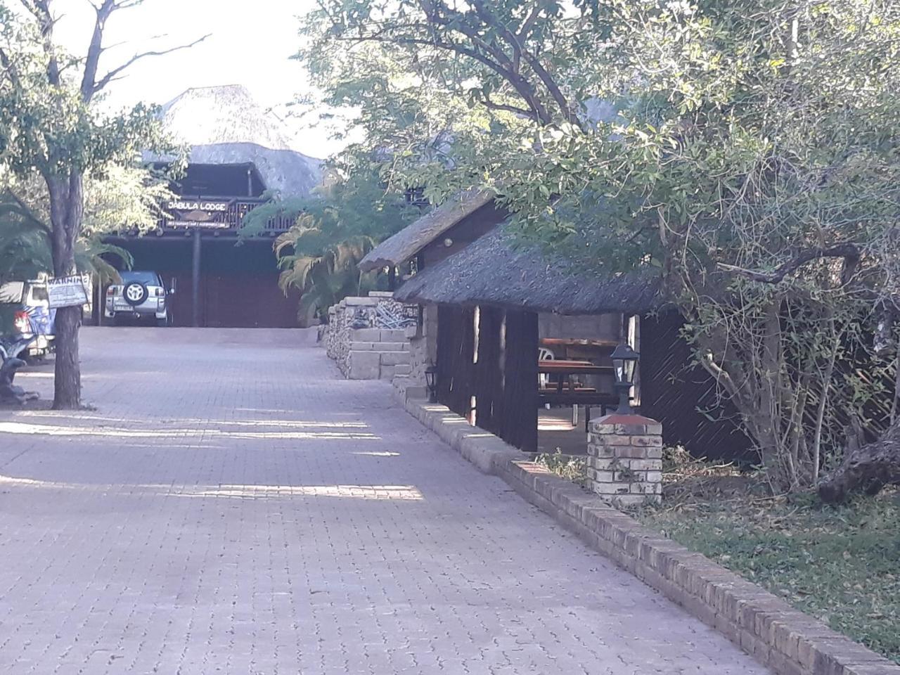 Little Bush Baby * Marloth Park