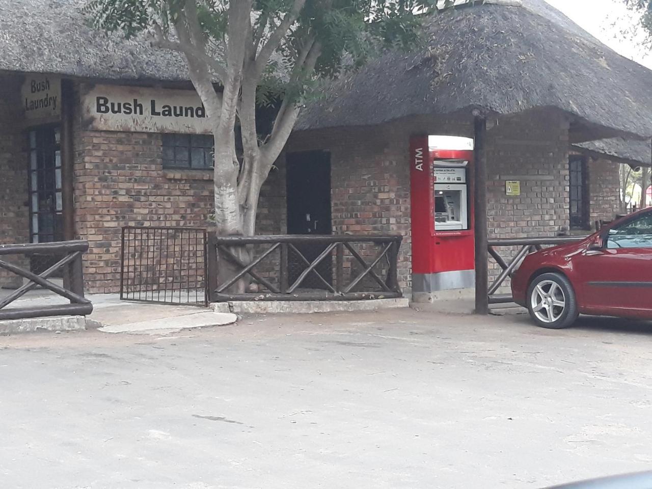 Little Bush Baby *