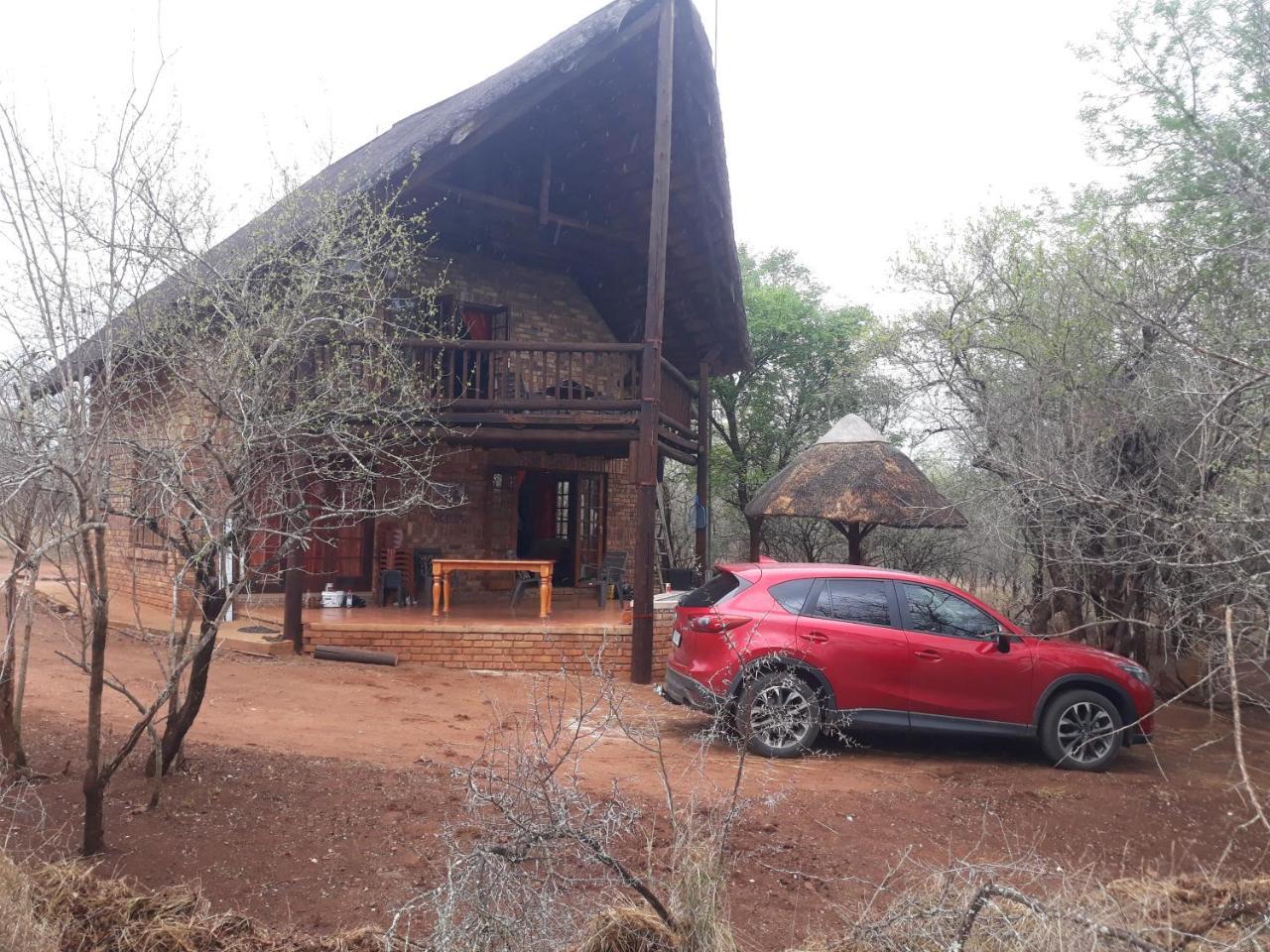 Little Bush Baby * Marloth Park